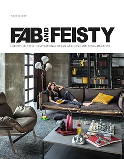 Fab-and-Feisty-14-Cover