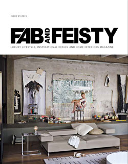 Fab-and-Feisty-15-Cover